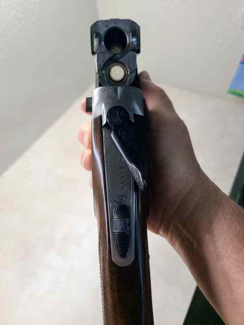 20250423_182848.jpg