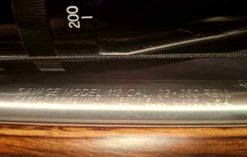 20250428_205705.jpg