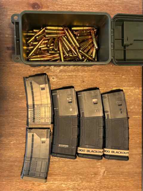 300blk Ammo federal 220 subs + 300blk mags 
