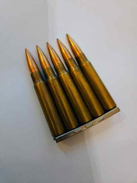 Stripper Clips