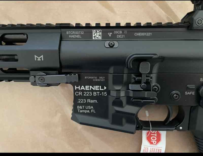 Haenel 1.jpg