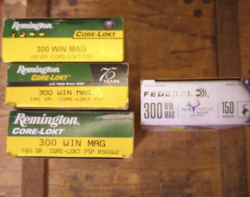 Remington 300 Win Mag 180 gr ammo