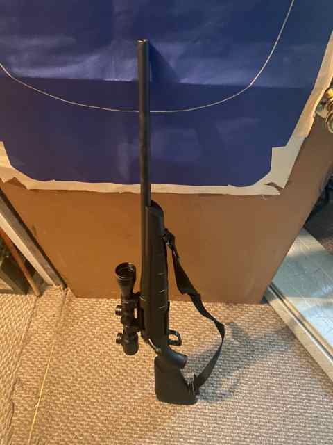 Remington 770 270