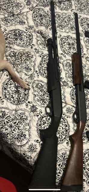 Shotgun bundle. 