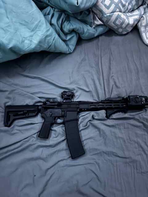 Sig sauer ar 15