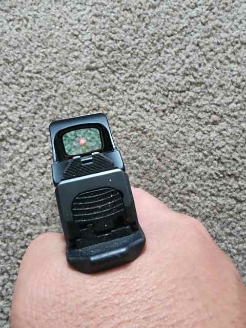 1749503447470377981544929273438.jpg