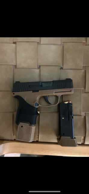 Sig Sauer 365 FS/FT