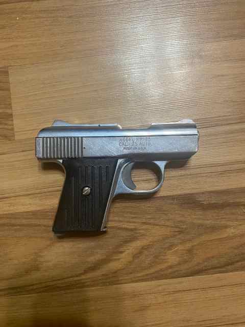 WTS Raven Arms 25 ACP - pending