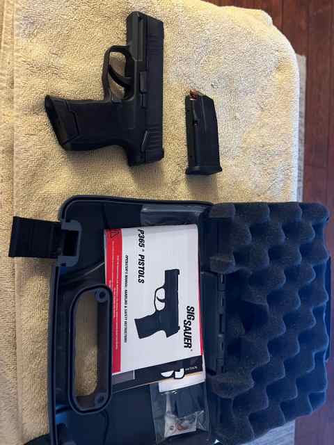 Sig Sauer P365