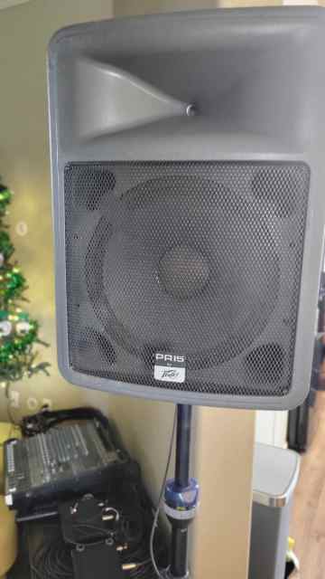 Peavey PR15 (2 each).jpg