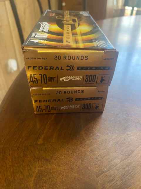 Federal Hammer Down 45/70 shells 