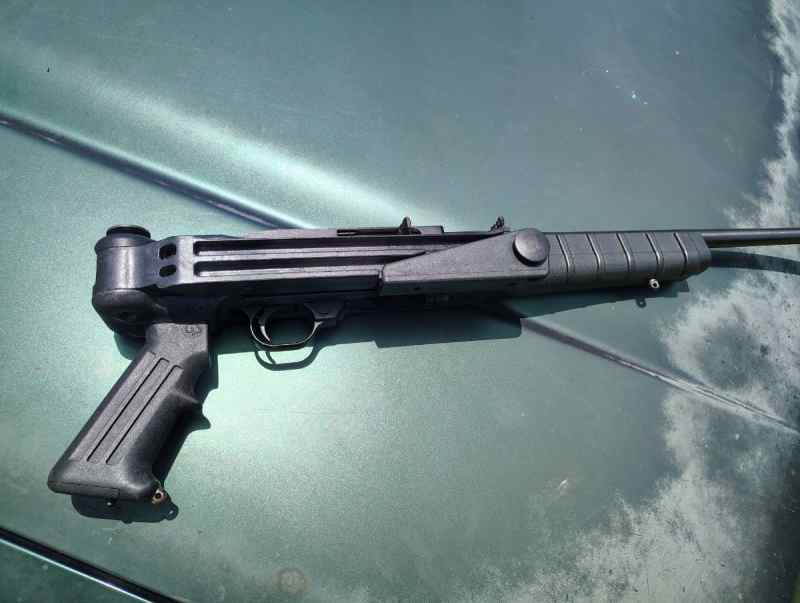 10/22 folding stock